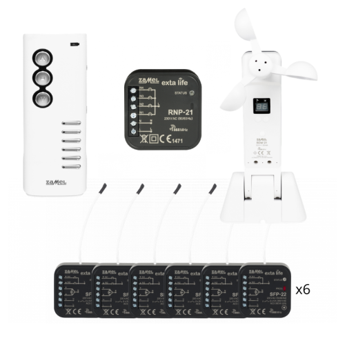 ZFP-06 miniatura.png