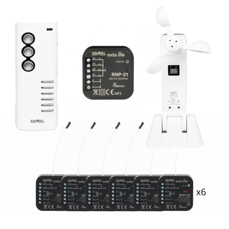 ZFP-06 miniatura.png